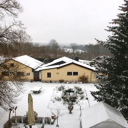 Villa Goeltzschtalblick Netzschkau Экстерьер фото
