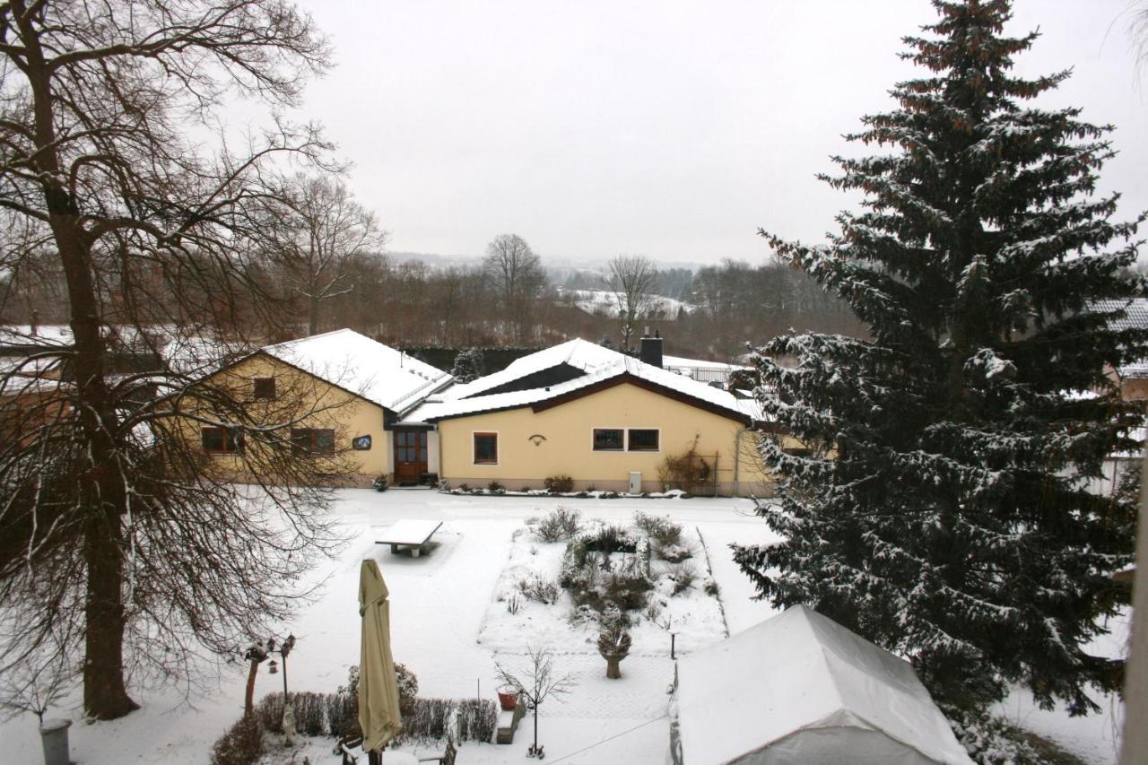 Villa Goeltzschtalblick Netzschkau Экстерьер фото